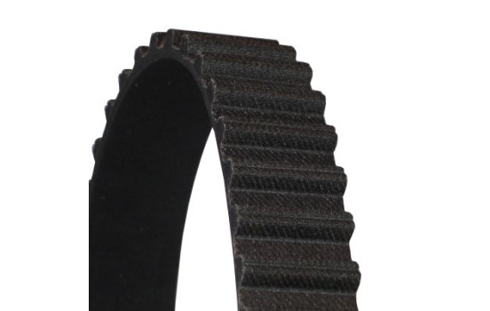 Timing belt CT688 Contitech, Image 2
