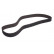 Timing Belt CT700 Contitech