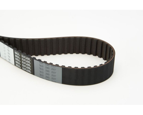 Timing Belt CT700 Contitech, Image 4