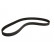 Timing Belt CT707 Contitech