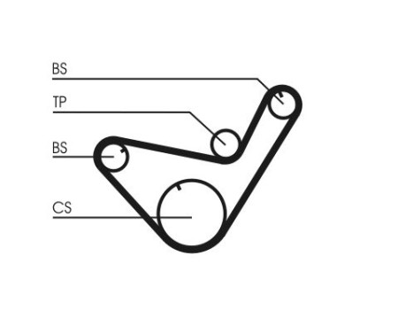 Timing Belt CT714 Contitech, Image 3