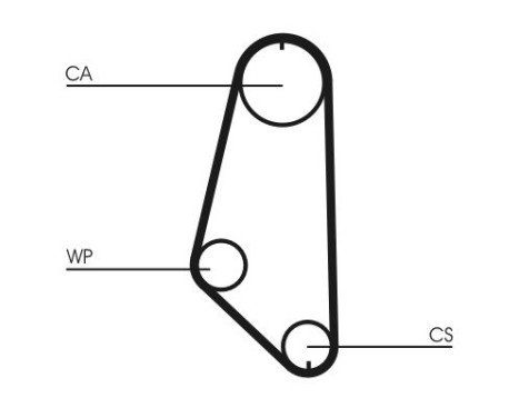 Timing Belt CT720 Contitech, Image 4