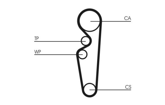 Timing belt CT729 Contitech, Image 4