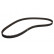 Timing Belt CT749 Contitech