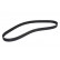 Timing Belt CT755 Contitech