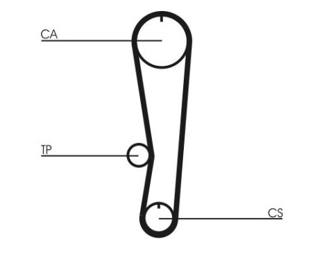 Timing Belt CT757 Contitech, Image 3