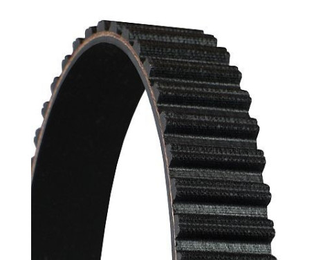 Timing Belt CT758 Contitech, Image 3