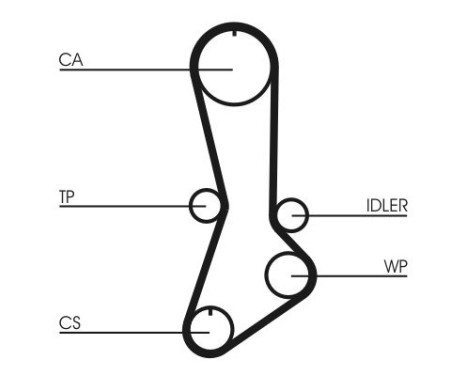 Timing Belt CT765 Contitech, Image 4