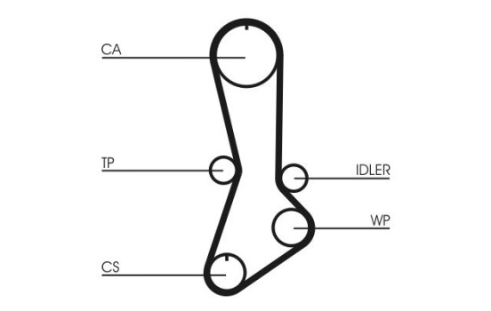 Timing belt CT765 Contitech, Image 4