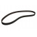 Timing Belt CT769 Contitech
