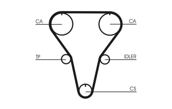 Timing belt CT769 Contitech, Image 3