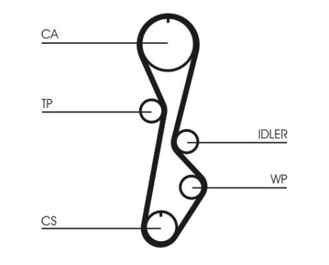 Timing Belt CT774 Contitech, Image 4