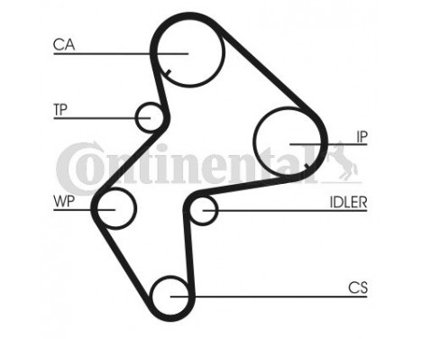 Timing Belt CT775 Contitech, Image 2