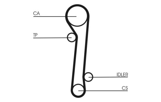 Timing belt CT781 Contitech, Image 3
