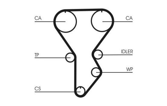 Timing belt CT790 Contitech, Image 4
