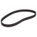 Timing Belt CT791 Contitech