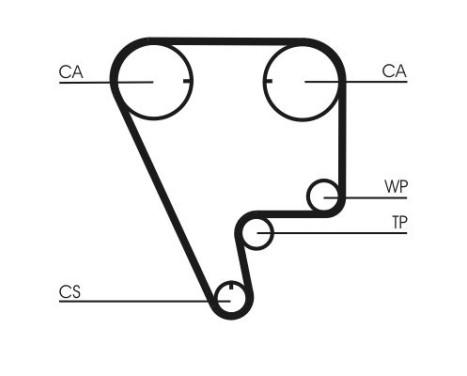 Timing Belt CT794 Contitech, Image 4