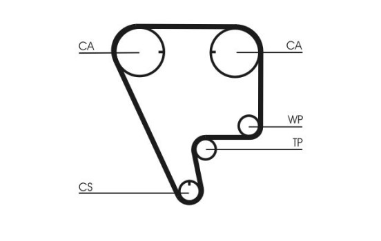 Timing belt CT794 Contitech, Image 4