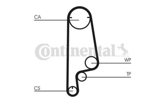 Timing belt CT799 Contitech, Image 2
