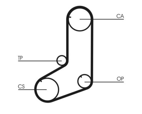 Timing belt CT801 Contitech, Image 5
