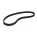 Timing Belt CT808 Contitech