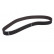 Timing Belt CT810 Contitech