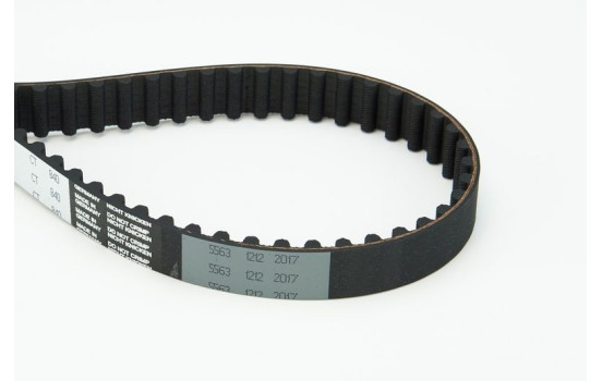 Timing belt CT840 Contitech, Image 4