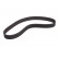 Timing Belt CT841 Contitech