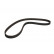 Timing Belt CT846 Contitech