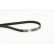 Timing Belt CT871 Contitech, Thumbnail 2