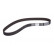 Timing Belt CT876 Contitech