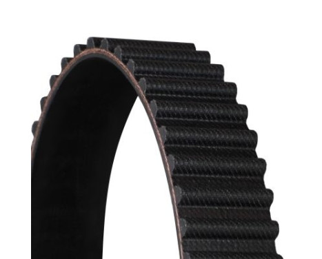 Timing Belt CT876 Contitech, Image 3