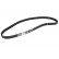 Timing Belt CT877 Contitech