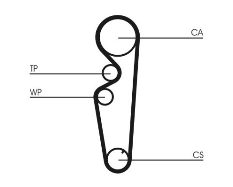 Timing belt CT878 Contitech, Image 3