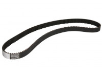 Timing Belt CT879 Contitech