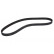 Timing Belt CT881 Contitech