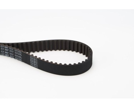 Timing Belt CT887 Contitech, Image 4