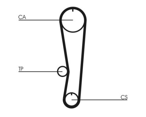 Timing Belt CT895 Contitech, Image 4