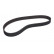 Timing Belt CT910 Contitech