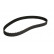 Timing Belt CT914 Contitech
