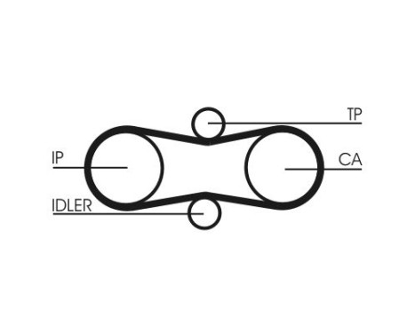 Timing Belt CT914 Contitech, Image 3