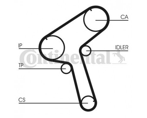 Timing belt CT917 Contitech, Image 2
