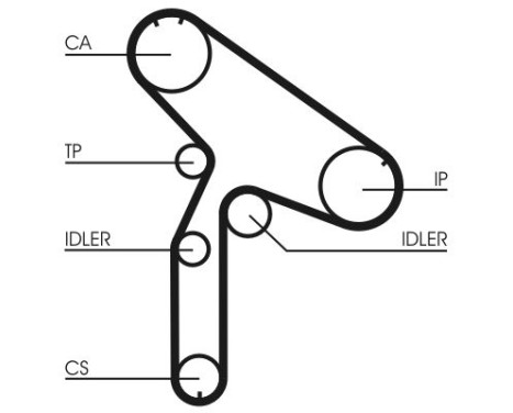 Timing belt CT921 Contitech, Image 4