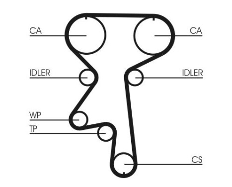 Timing Belt CT924 Contitech, Image 3