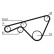 Timing Belt CT925 Contitech, Thumbnail 2