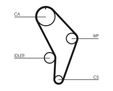 Timing Belt CT926 Contitech, Image 4