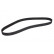 Timing Belt CT941 Contitech