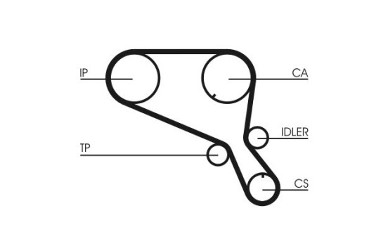 Timing belt CT952 Contitech, Image 4