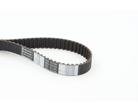 Timing Belt CT955 Contitech, Image 4