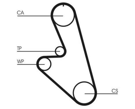 Timing belt CT959 Contitech, Image 4
